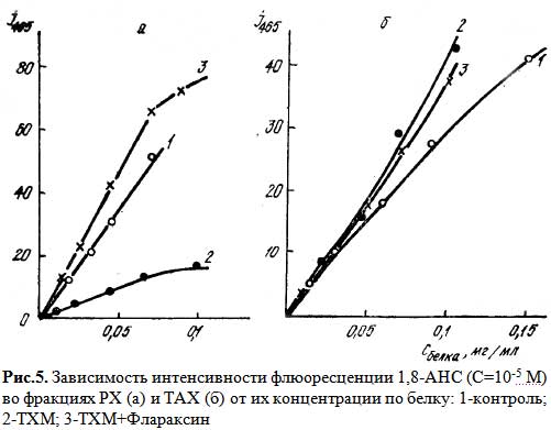 Зависимость интенсивности флюоресценции во фракциях РХ и ТАХ от их концентрации по белку. График.